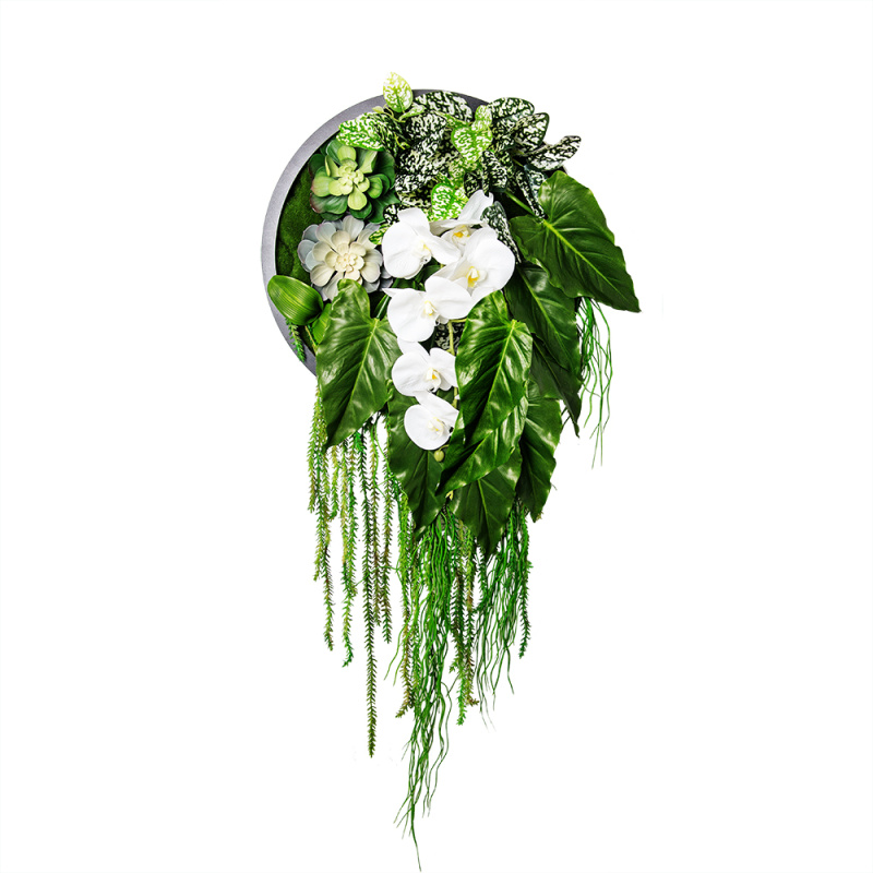 Фитопанно 04-2/1(з.) с орхидеей d35см _1