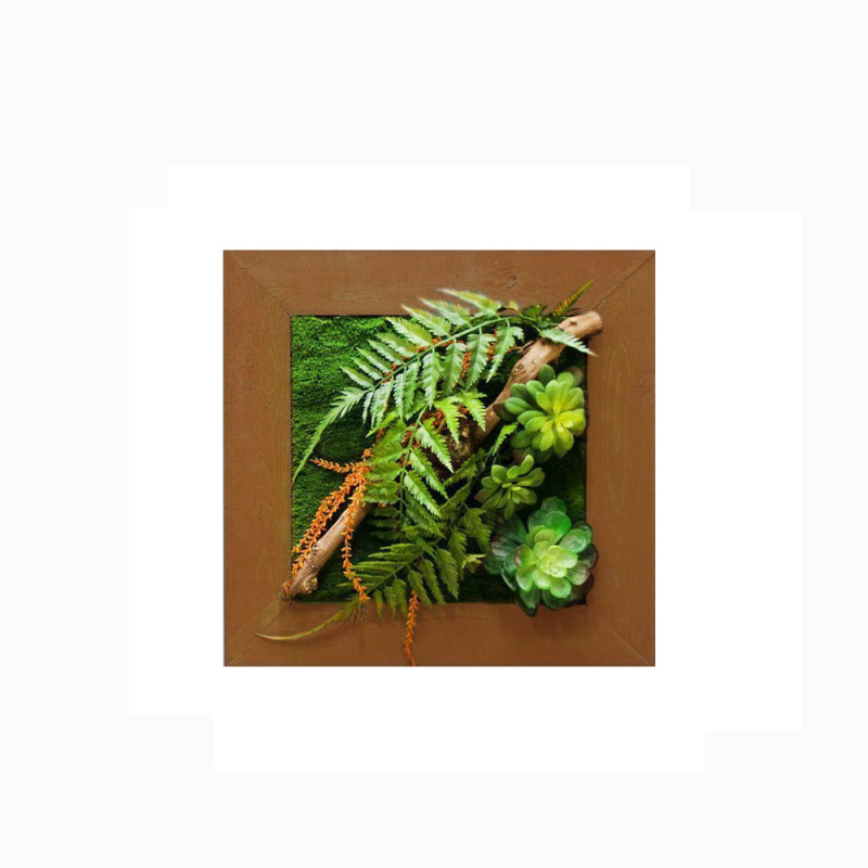 СКФ06/1(з) Фитокартина искусственная с папоротником и суккулентами 50х50см в оранжевой раме