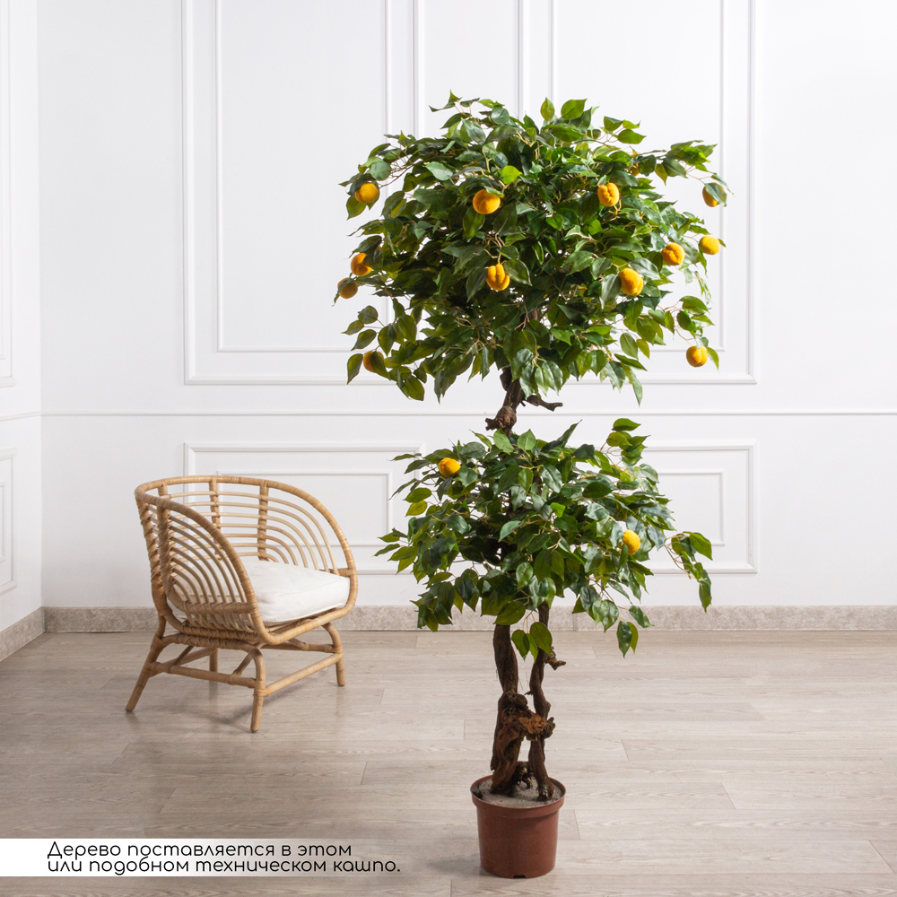 БП150/2К/42(з)(F) Бонсай искусственный Абрикос с плодами h150см_1