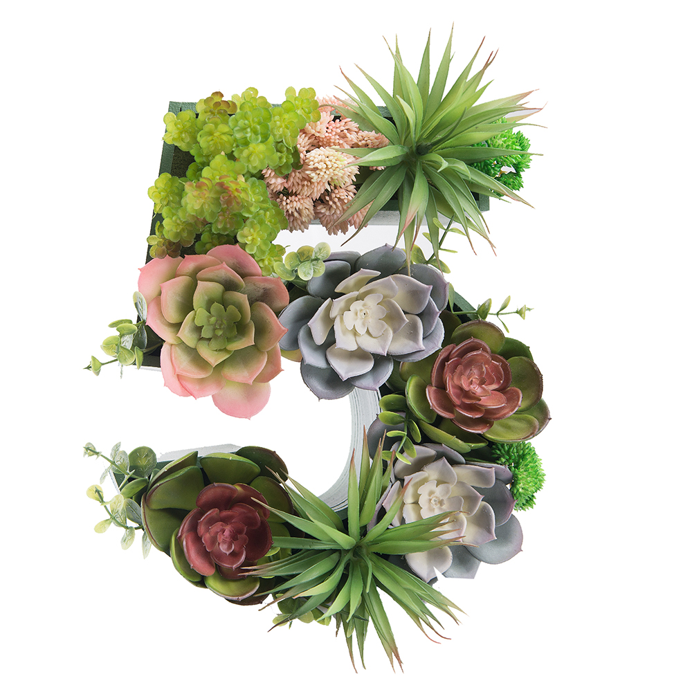 Логотип 1,2,3,4,5 с суккулентами (143*h27см)_10