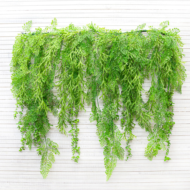 Л38 Лиана с Адиантумом L100см