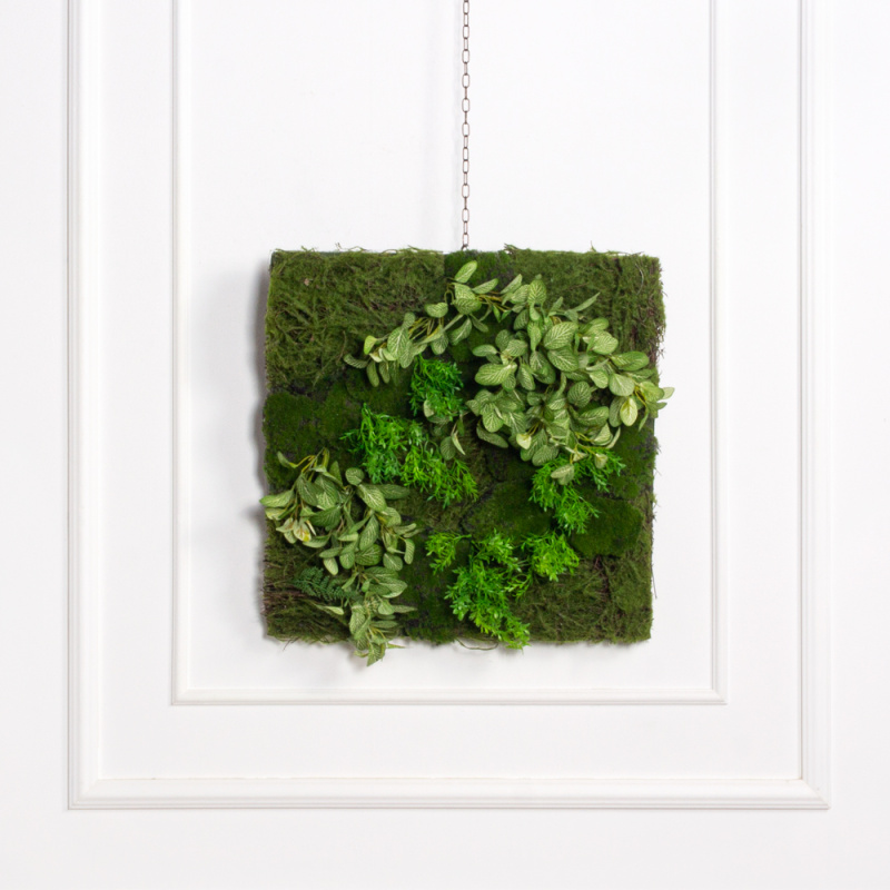 ФК06(з)(F) Фитокартина со мхом-ряской 50х50см