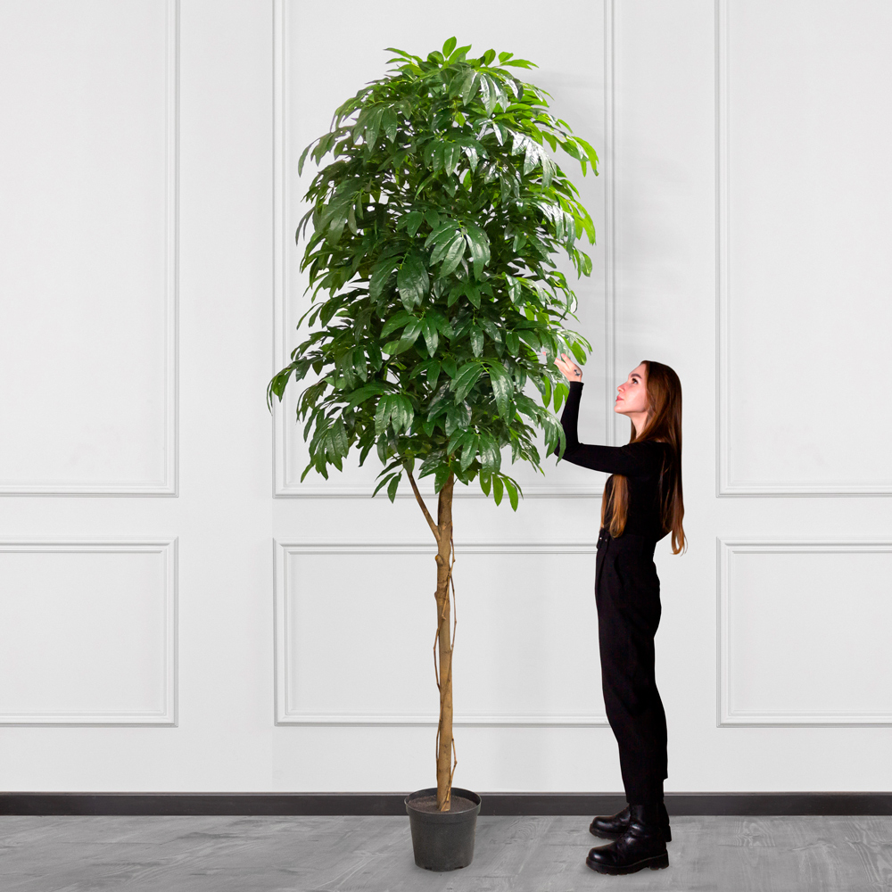 260/РН/220(з) Манго искусственное без плодов h260см (латекс)_5