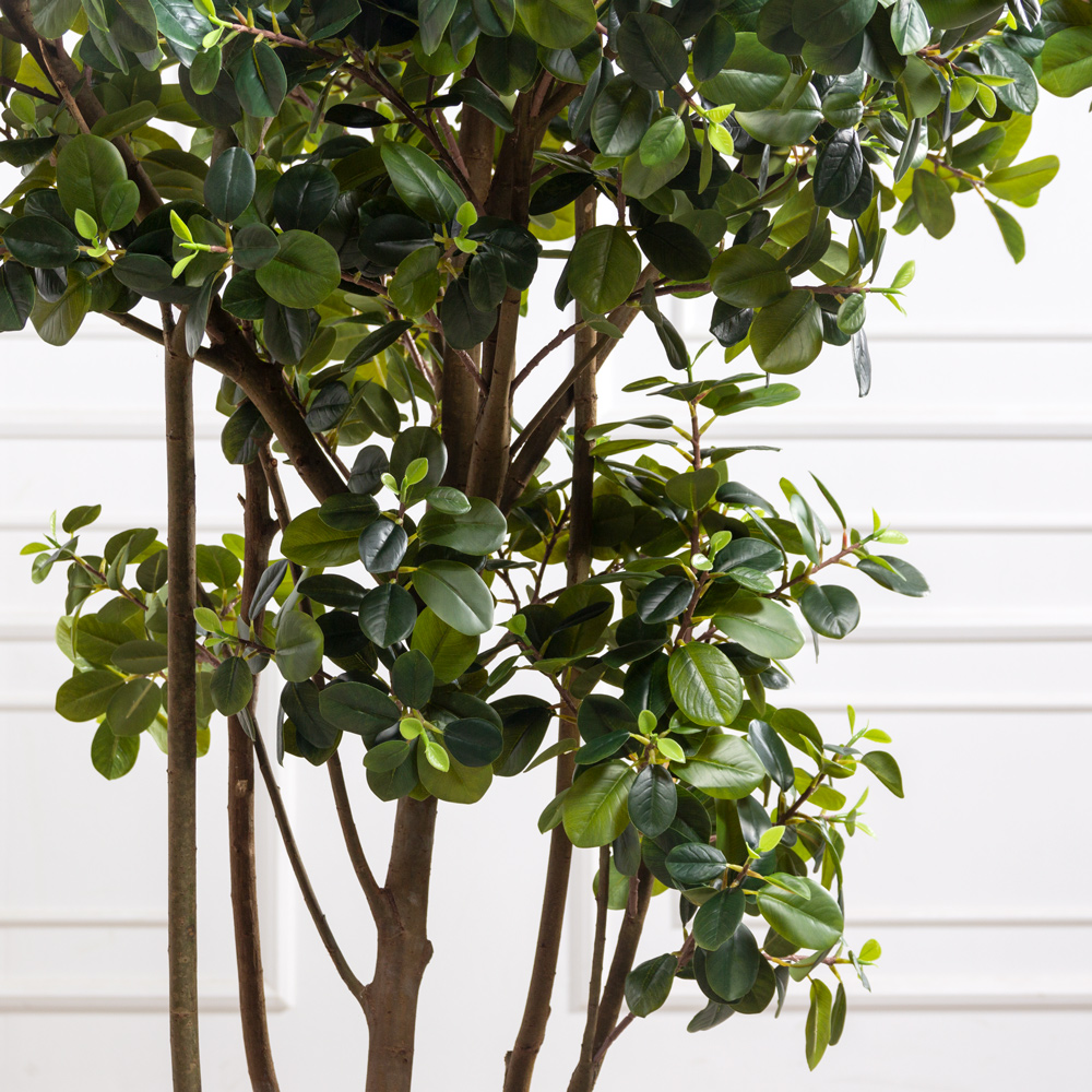 180/РН/527-1(з)(F) Фикус искусственный Гринн Исланд h180см d120см, латекс_3