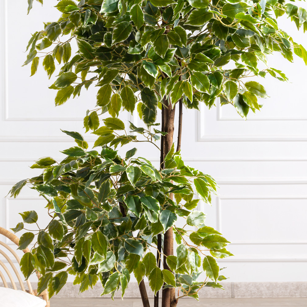 180/2К/РН/23(Пр)(F) Фикус Бенджамина искусственный h180см_2