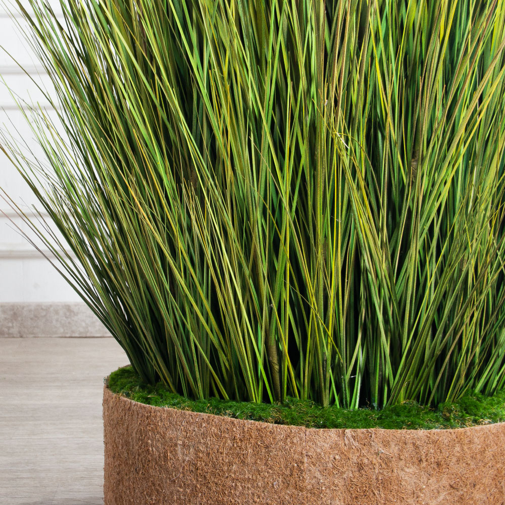 К351-6(з)(F) Трава Осока искусственная h200см в кокосовом боксе d60 h10см с мхом_6