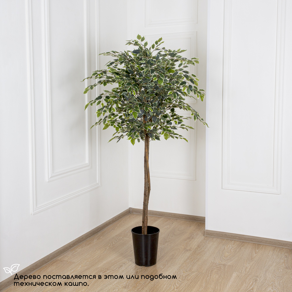 160/17М Фикус Бенджамина искусственный мелкий лист h160см(латекс)_9