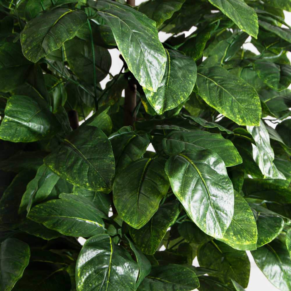 210/РН/89(FixS)(Пр)(F) Магнолия искусственная h210см_4