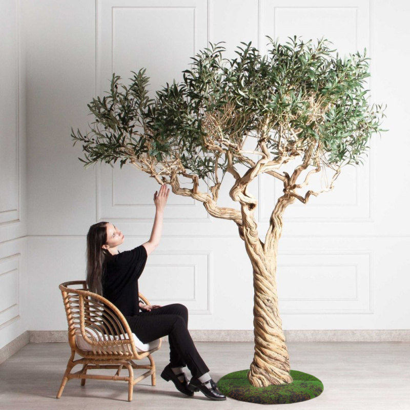 230ГБст/Разб/АСС/Д3х3/465(F) Олива искусственная интерьерная разборная на витом стволе h230см_1