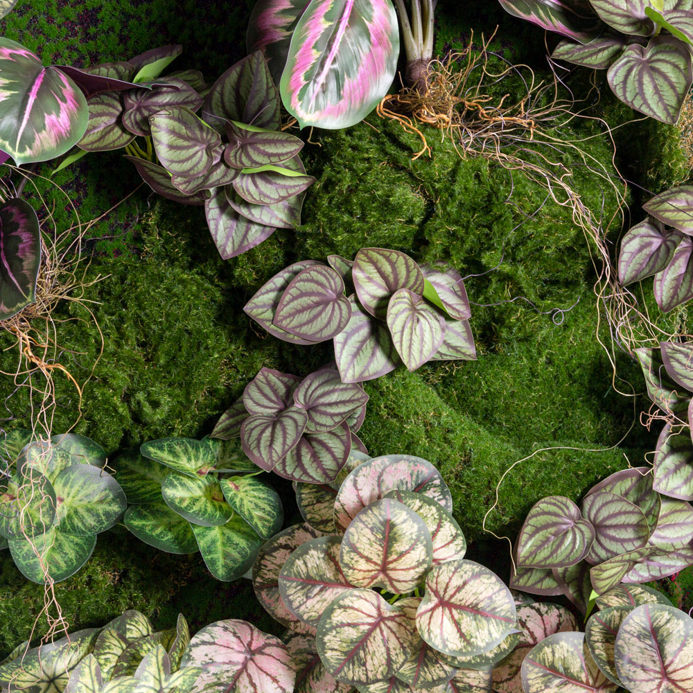 ФТС174(F) Фитостена,  за 1кв.м_2