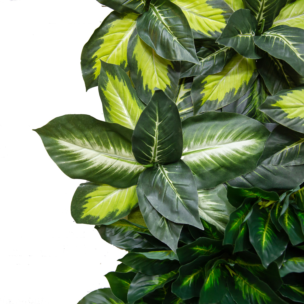 Фитостена 115 _2