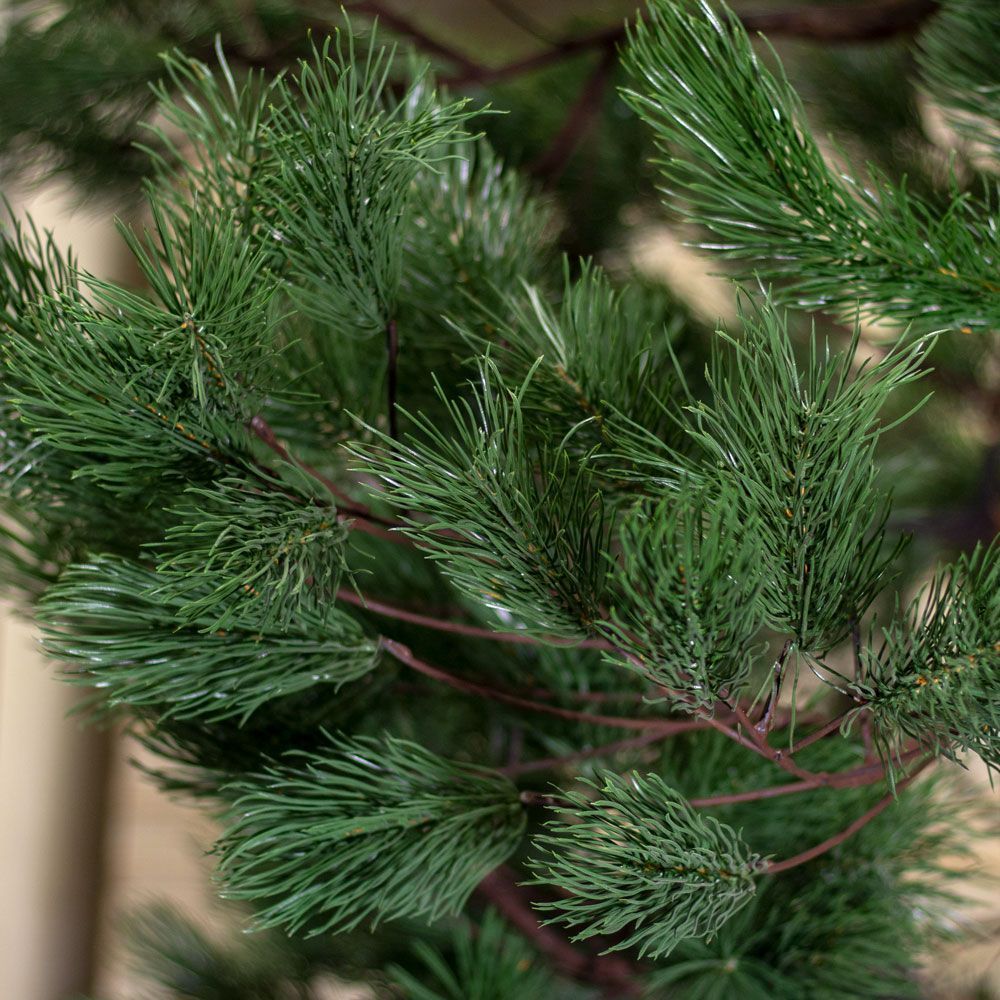 320разб/кор/224 Сосна h-320см (крона: шир.-200;h-135см)_4