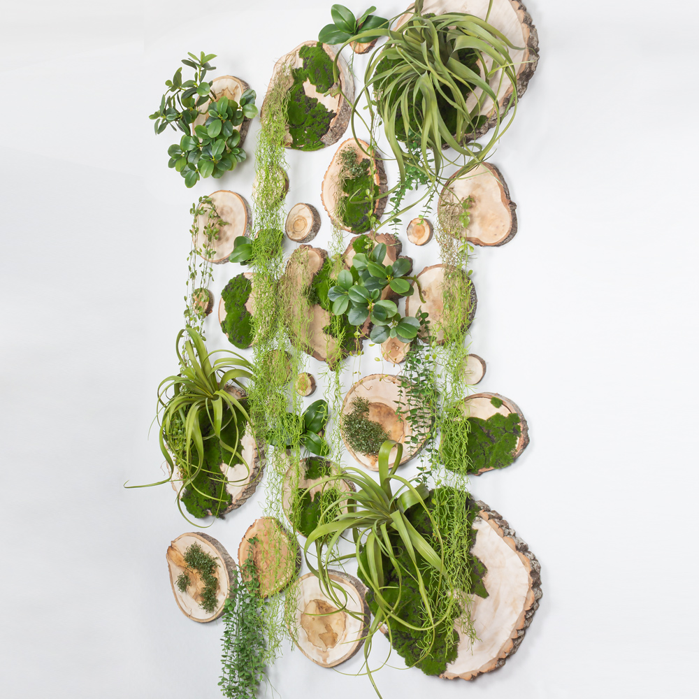 Фитостена 140(з.) (150хh200см)_23