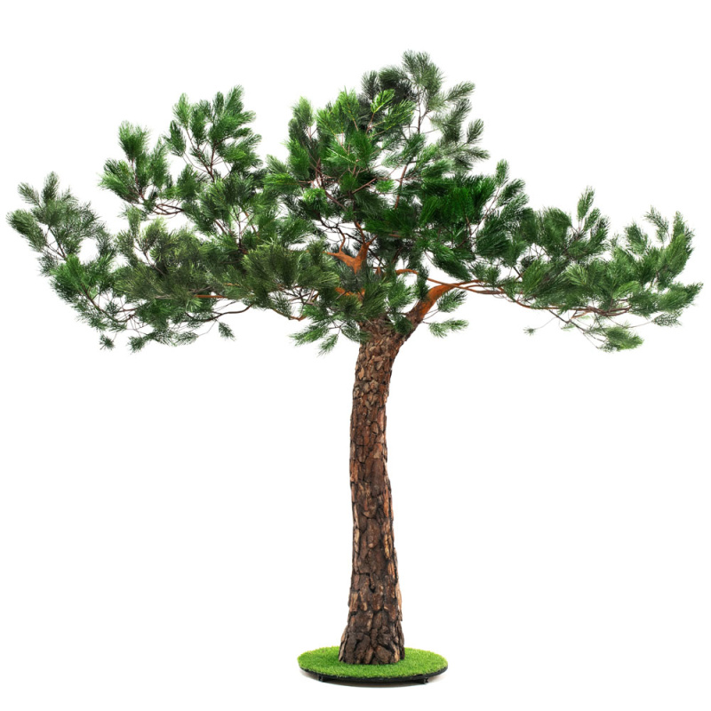 275разб/нат/224(з.) Сосна с натуральной корой h-275см