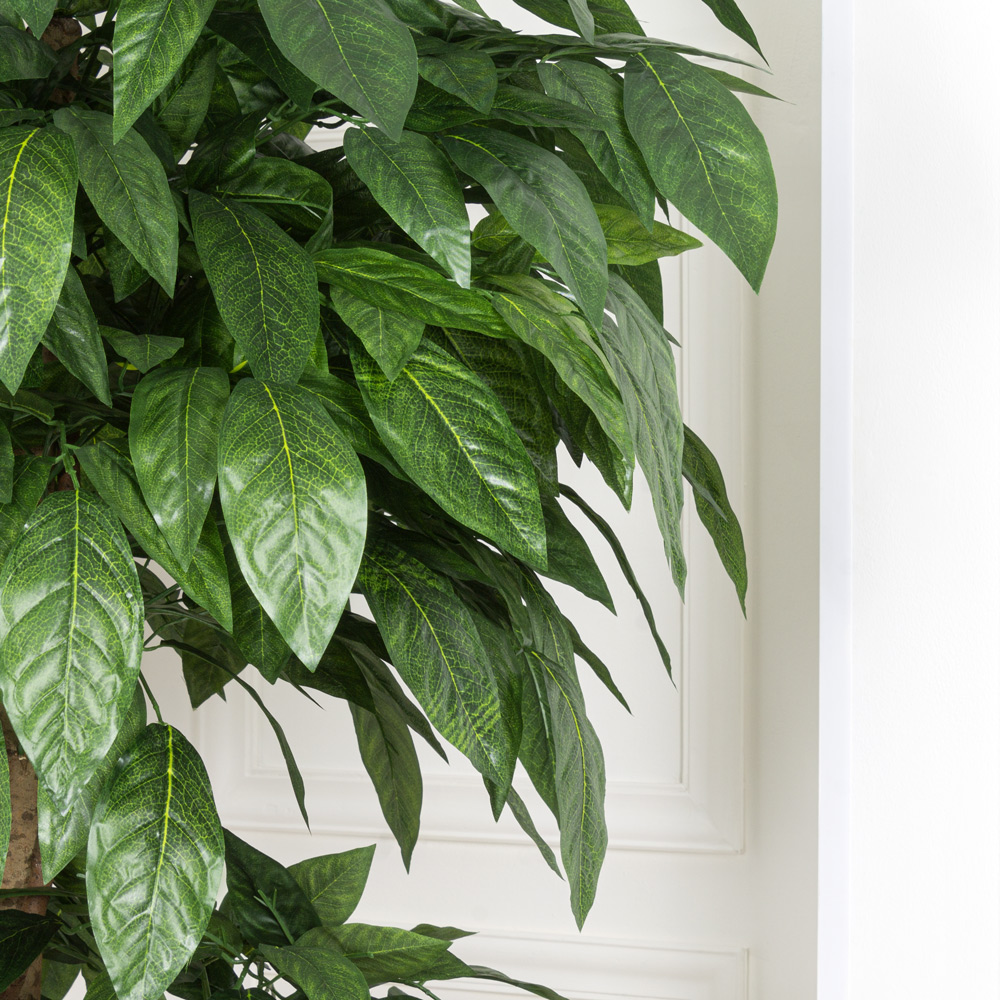 190/2К/31 Дерево искусственное Камфора h190см_6