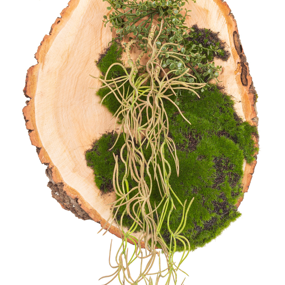 БК140/7 Композиция на березовом спиле d30-40см_3