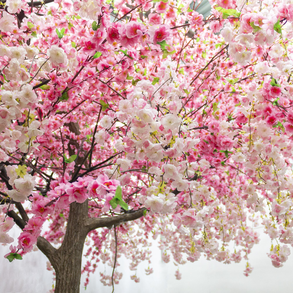 310разб/225(з.) Сакура искусственная разборная h310см, d400см, розовая_2