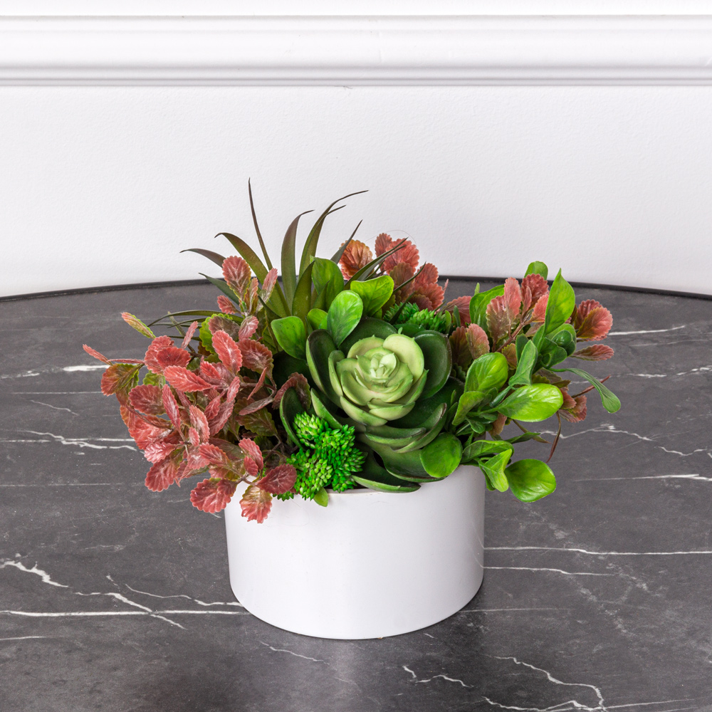 СКК06 Композиция из суккулентов h16см в интерьерном кашпо(зеленая)_3