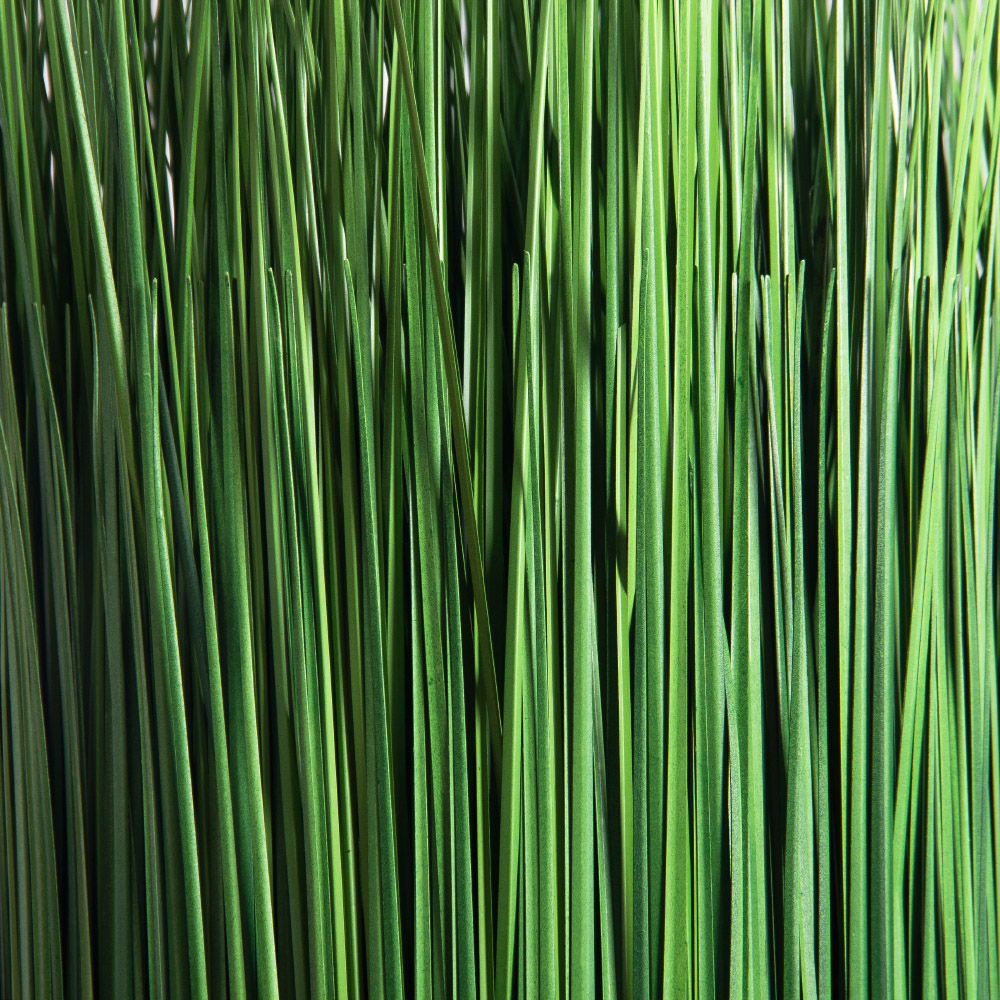 С003-3(з)(F) Сноп из искусственной осоки d23см, h80см_3