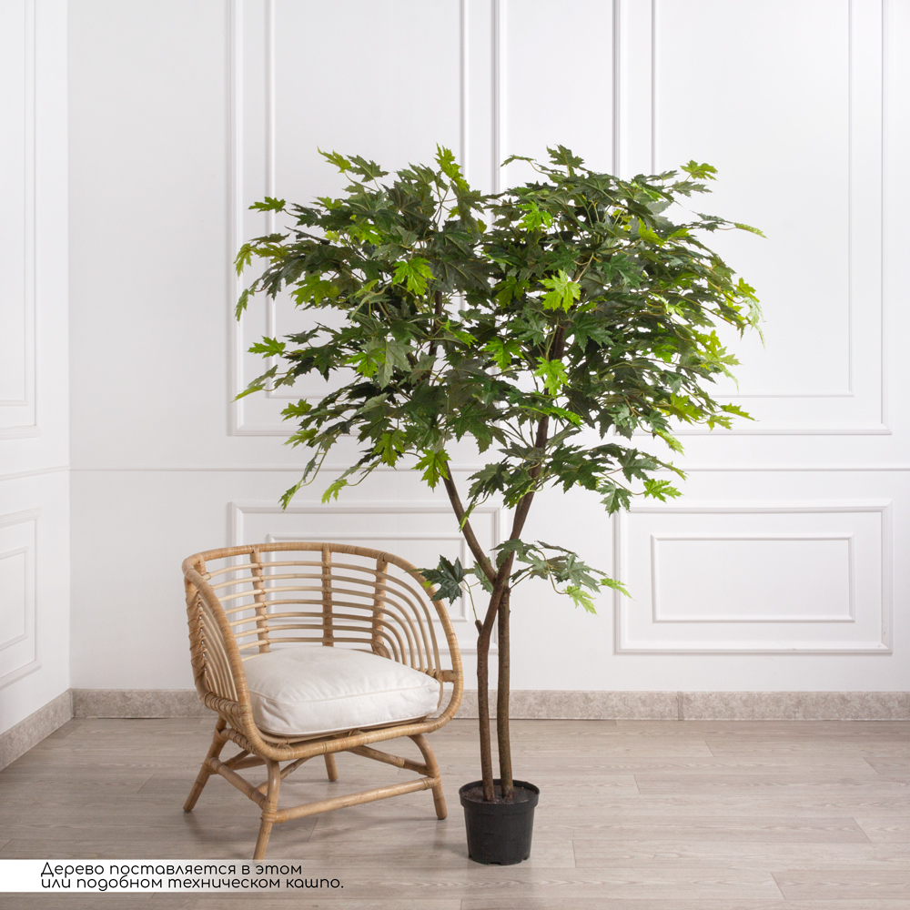 170/РН/77(з)(Пр) Клен искусственный канадский h170см_1