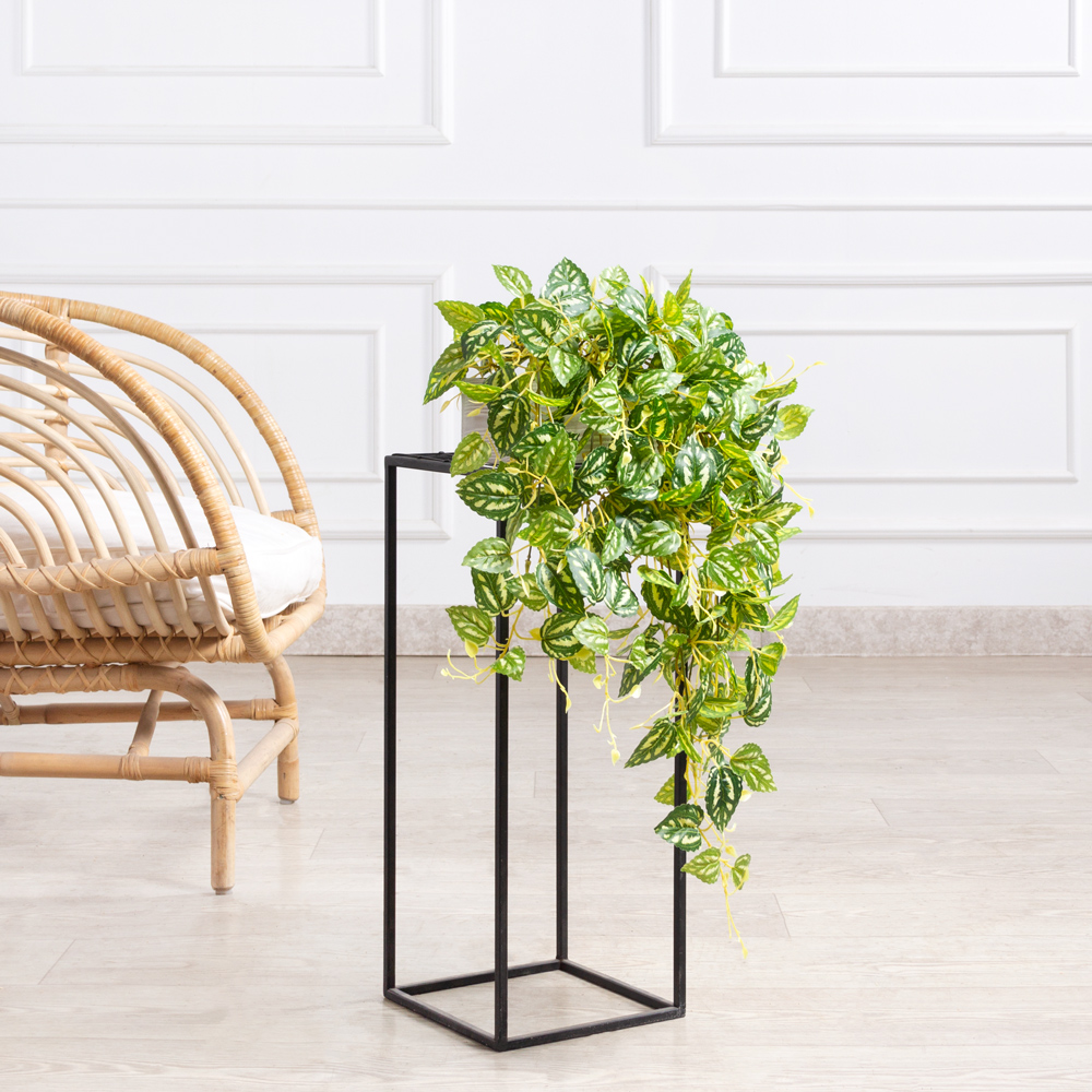 ТДЯ122(F) Плющ Пилея Кадье ампельный в деревянном подвесном ящике (бежевый) 20*9*h8_1