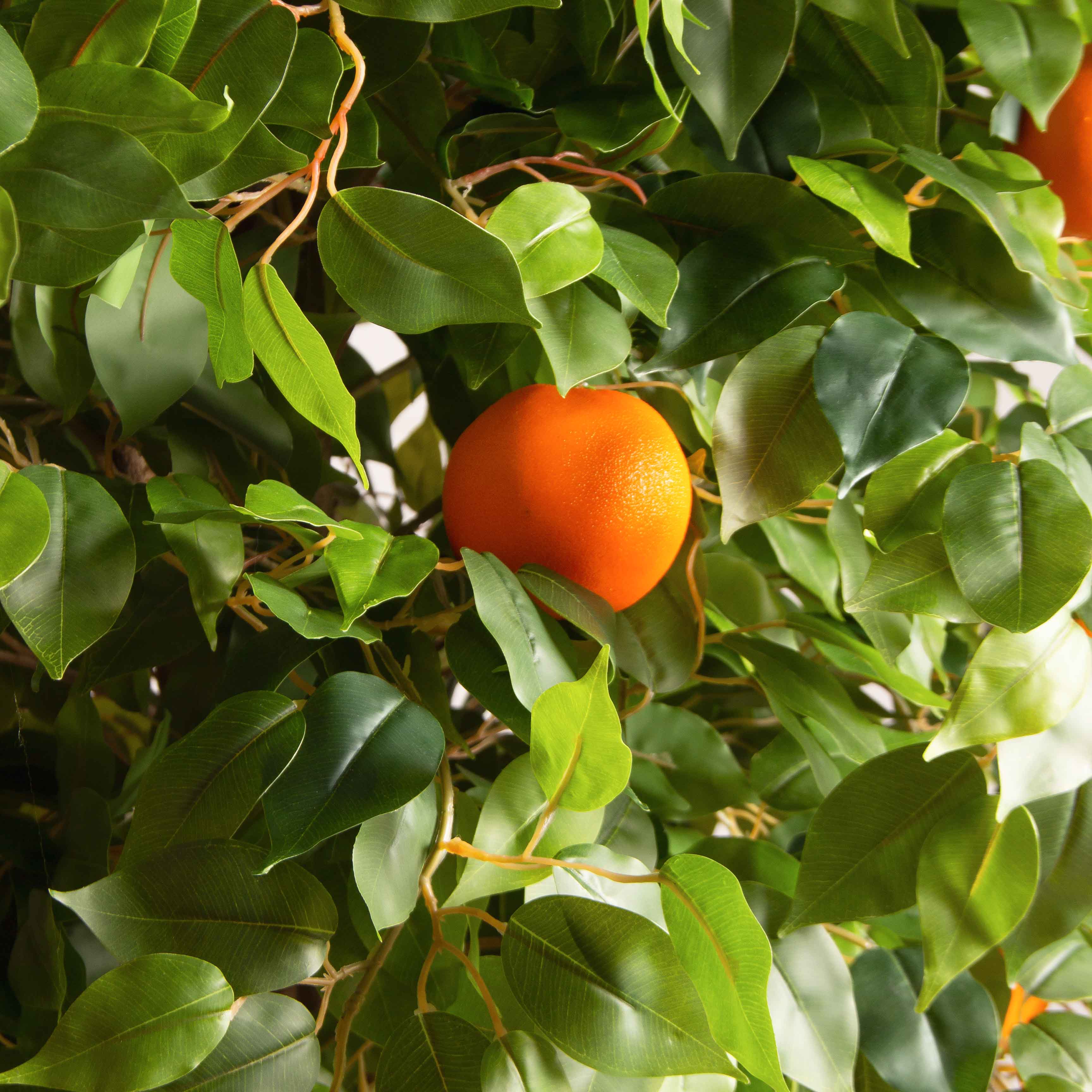 180/РПК/24М-2(з)(F) Апельсин искусственный с плодами h180см (латекс)_4