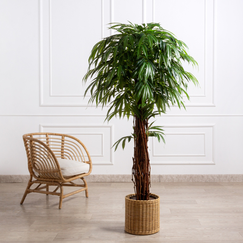 160/ССТК/ВП/219(Пр)(F) Лонгифолия искусственная h160см (латекс)