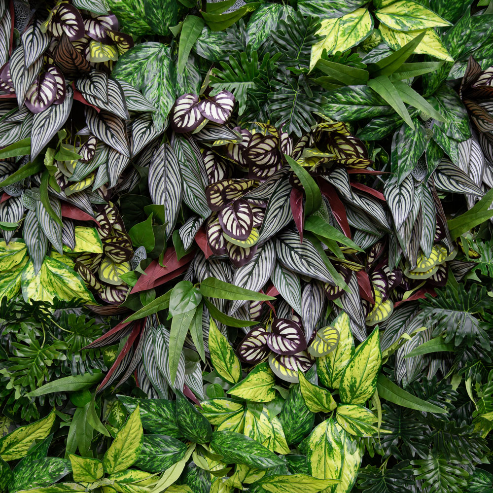 Фитостена 109_3