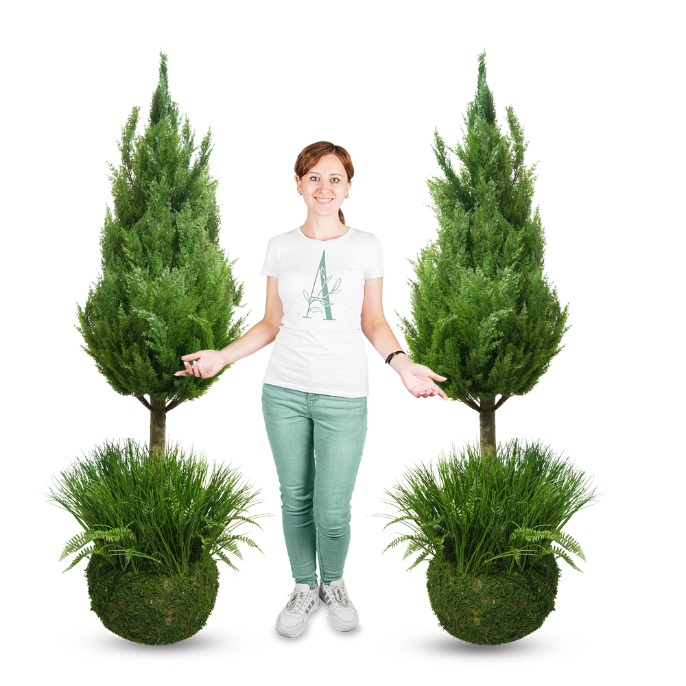 ККДД180/201(з.) Кокедама d40см Туя-конус 