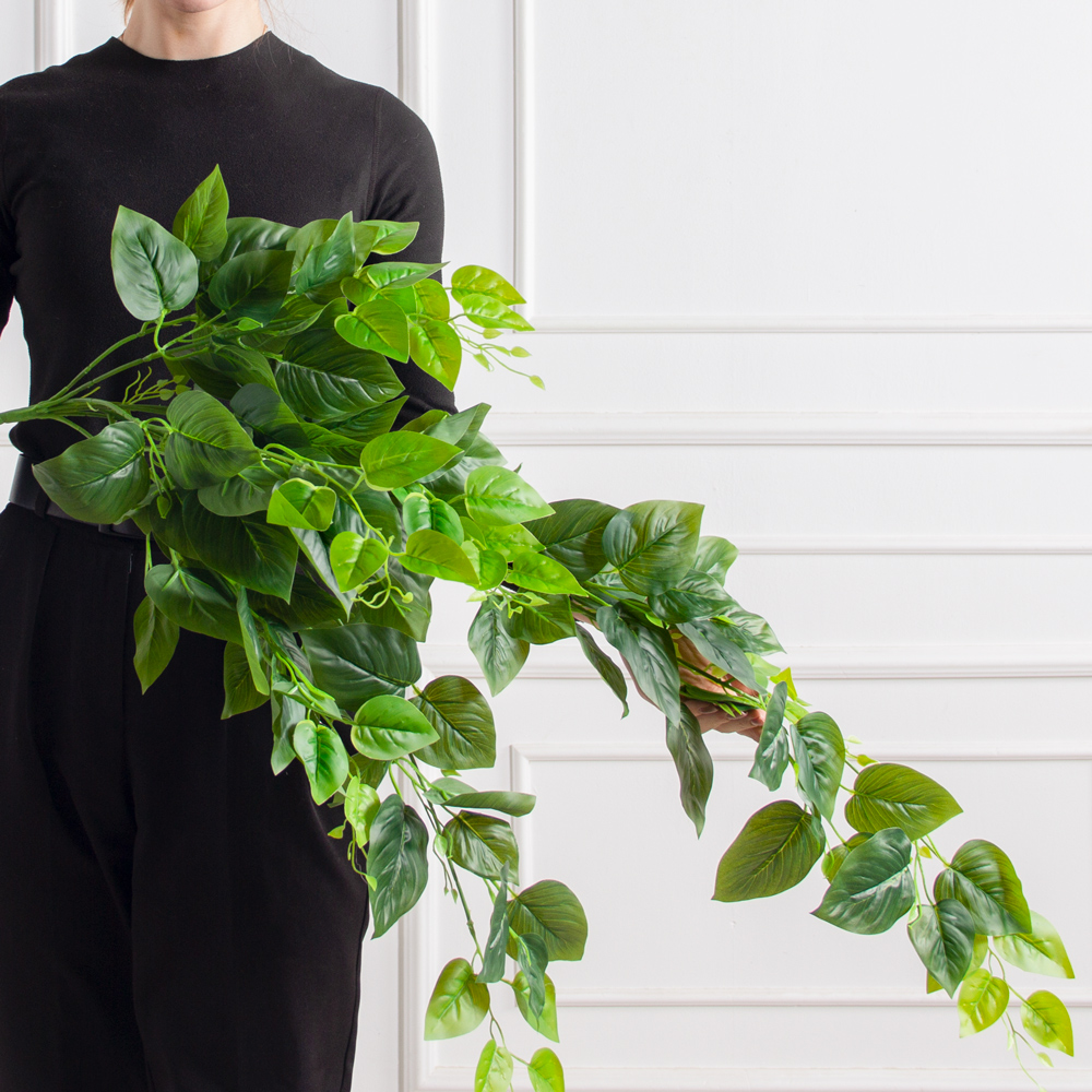 7144/0016-46(F) Плющ сциндапсус h100 зеленый_2