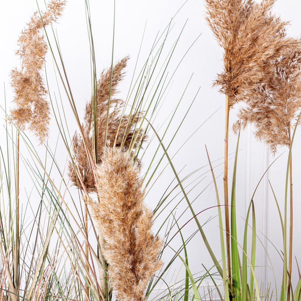 ТД100(Promo) Трава Осока искусственная с камышом в кокосовом боксе 86х32хh30см_5