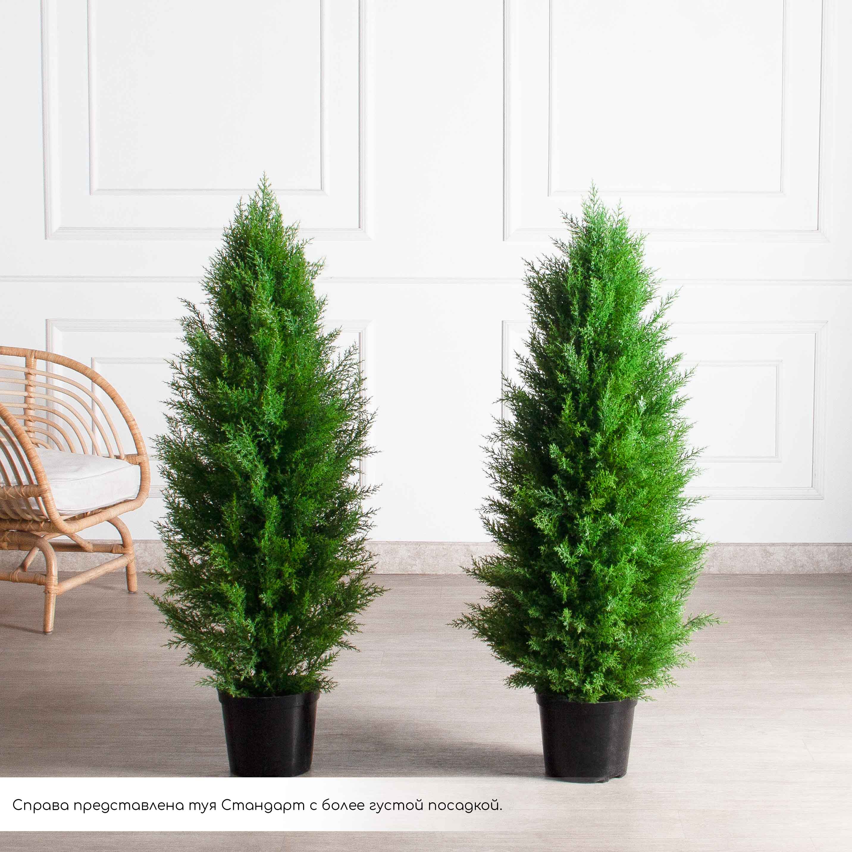 Т120/СЛ/4677(Пр)(Fix)(F) Туя искусственная Слим h120см_3