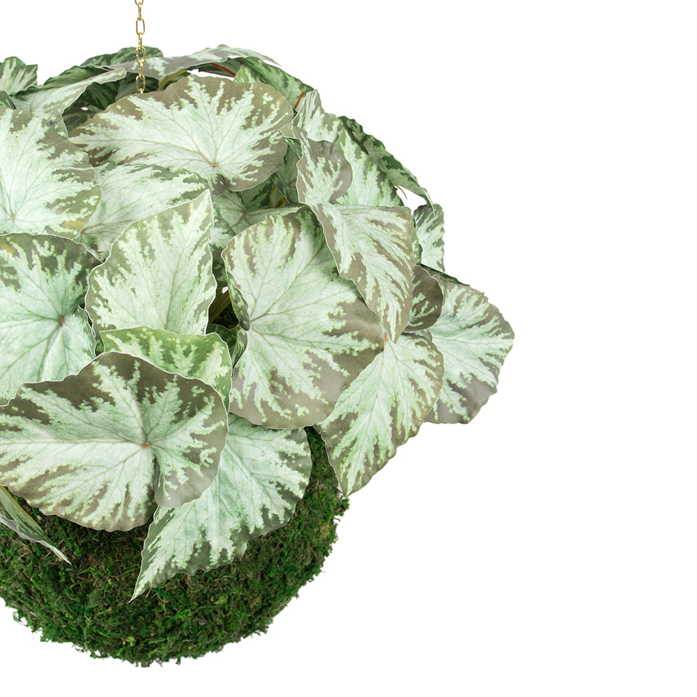 ККД85/304(з.) _1