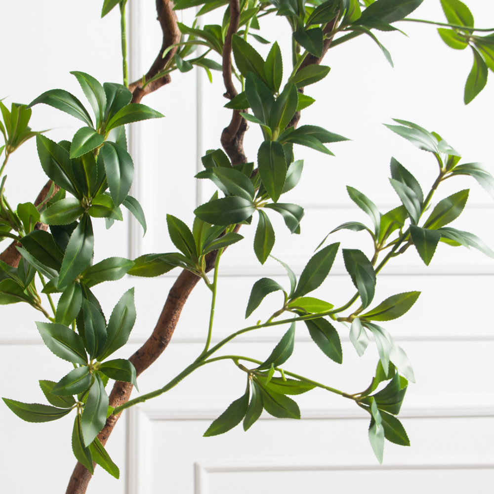 200/ВИТ/АСС/526(з)(F) Бересклет искусственный  h200см d130х80см, латекс_5