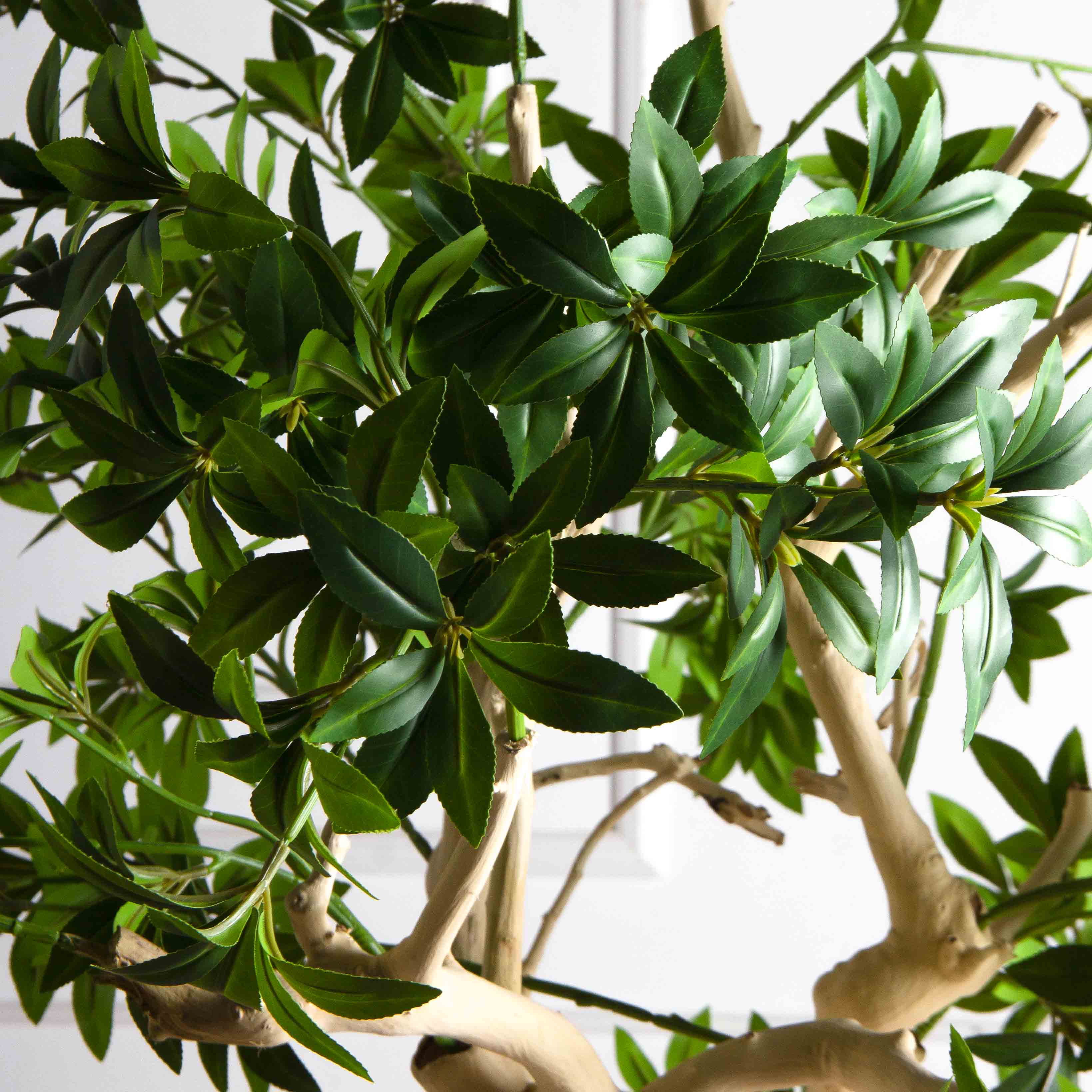 200/ДА/526(з)(F) Бересклет искусственный h200 d160см в кашпо d33 h24,5см, латекс_6