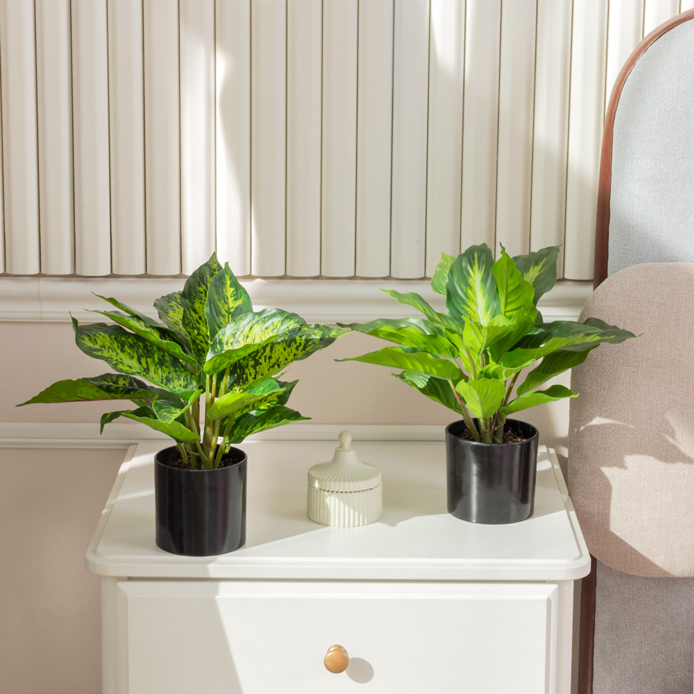 ЦС1655-1(F) Калатея искусственная пестрая_2