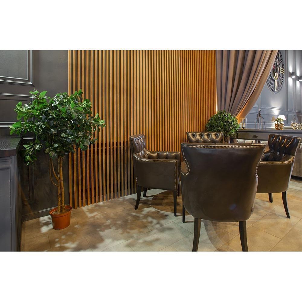 150/РН/64(з) Рускус (латекс) h-150см_4