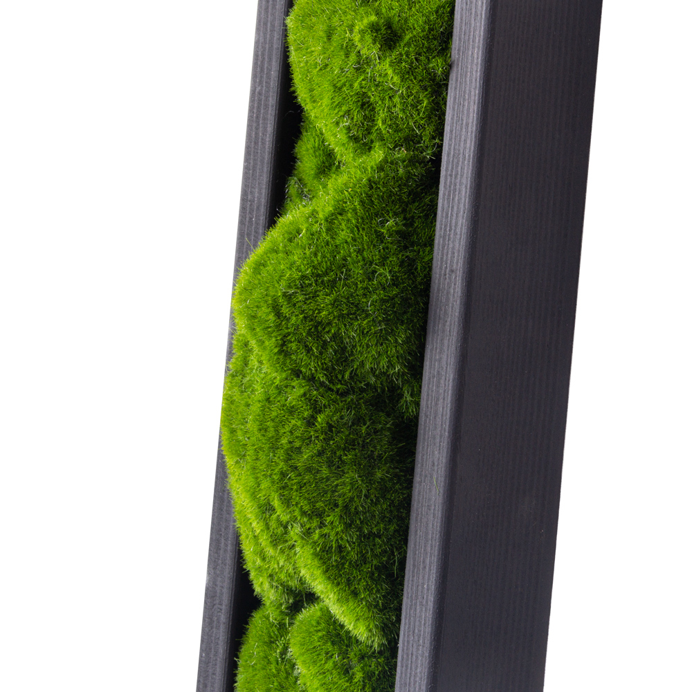 ФК27(з) Фитокартина искусственная в деревянной раме 9,5х60см_3