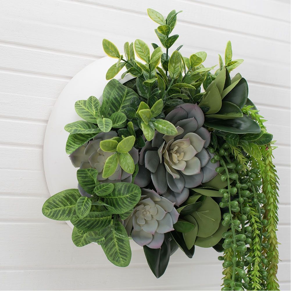 СКК08-2(з.) Композ-я с суккул.в кругл.дерев.кашпо d-20см(голуб) (2)-1001x1001