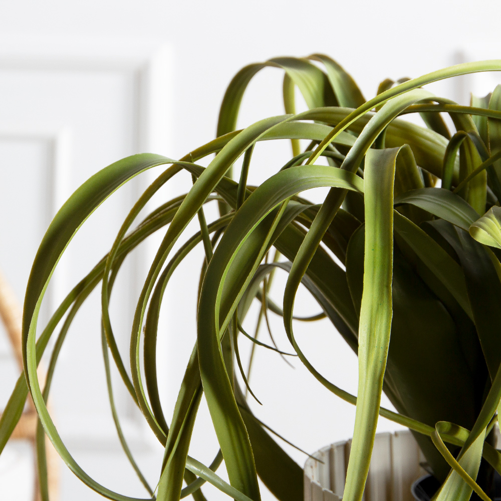 К571(з)(F) Композиция искусственная с тилландсией в кашпо_3