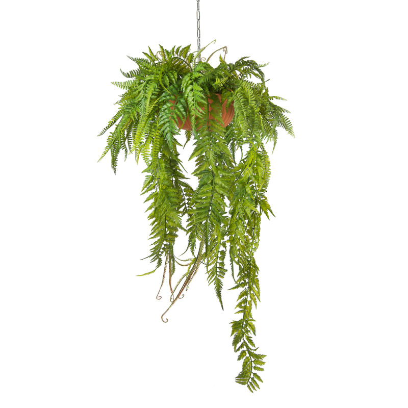 КЗ 18 Папоротник ампельный в подвесном кашпо d-30см (60xh145см) силикон