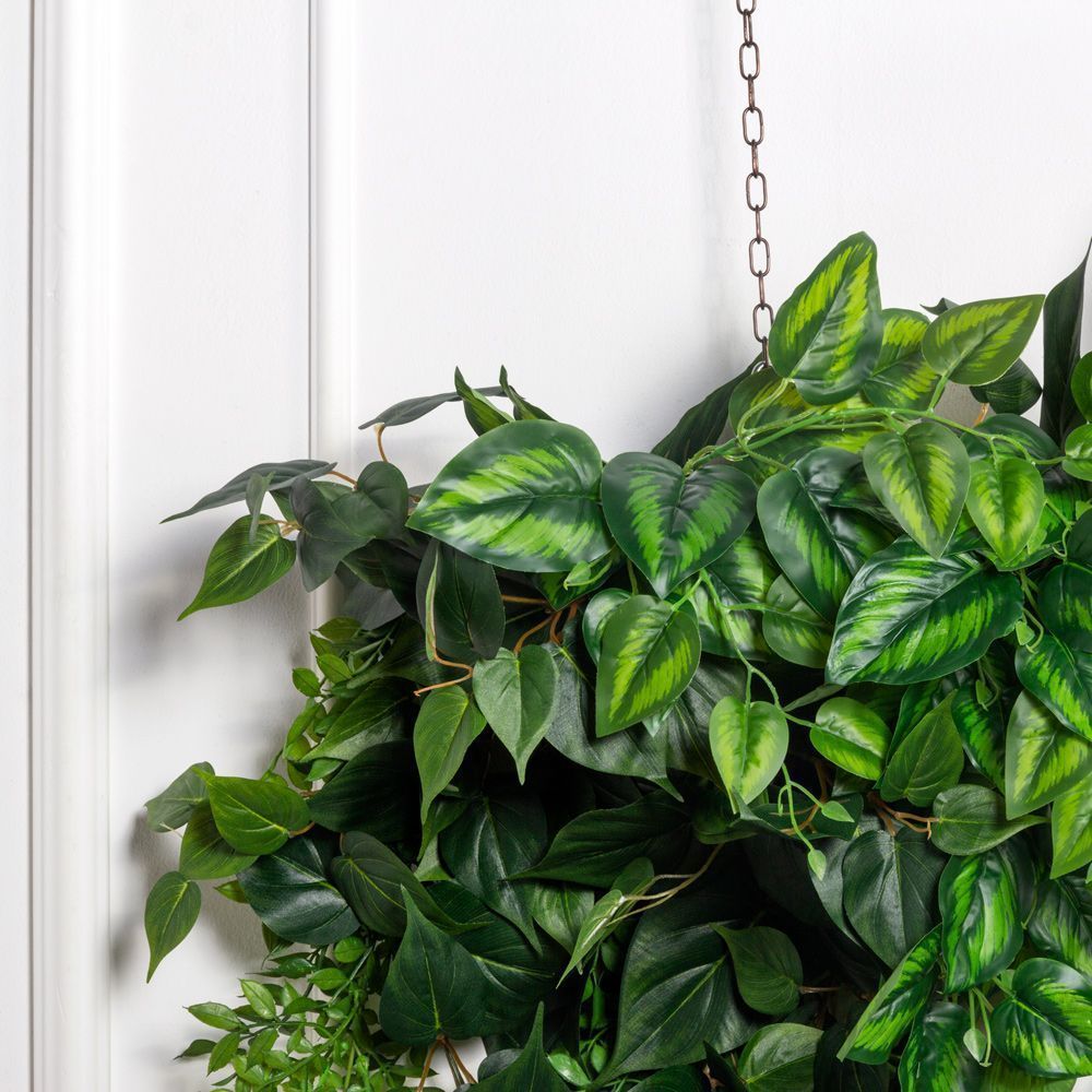 Л62-3(Пр)(F) Лиана со сциндапсусом L100см_1