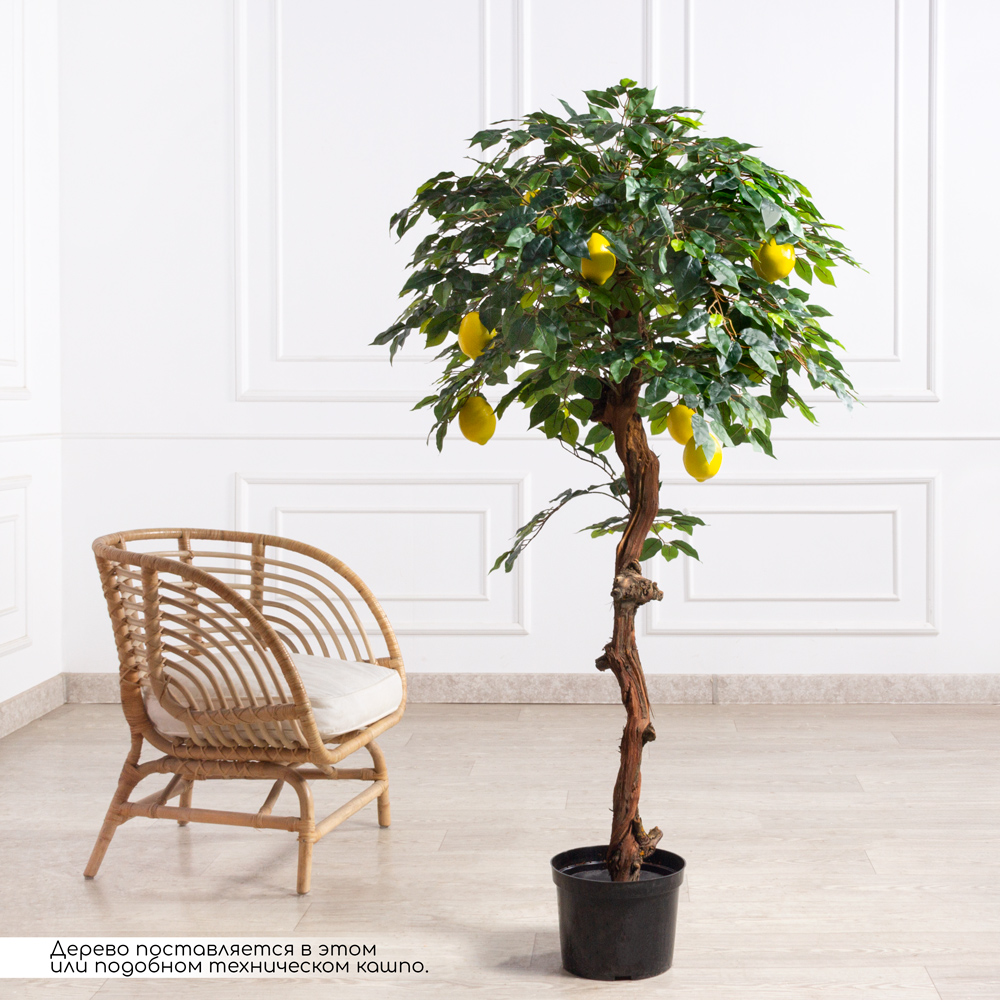 160/ОС/20М(з)(F) Лимон искусственный с плодами h160см (латекс)_1