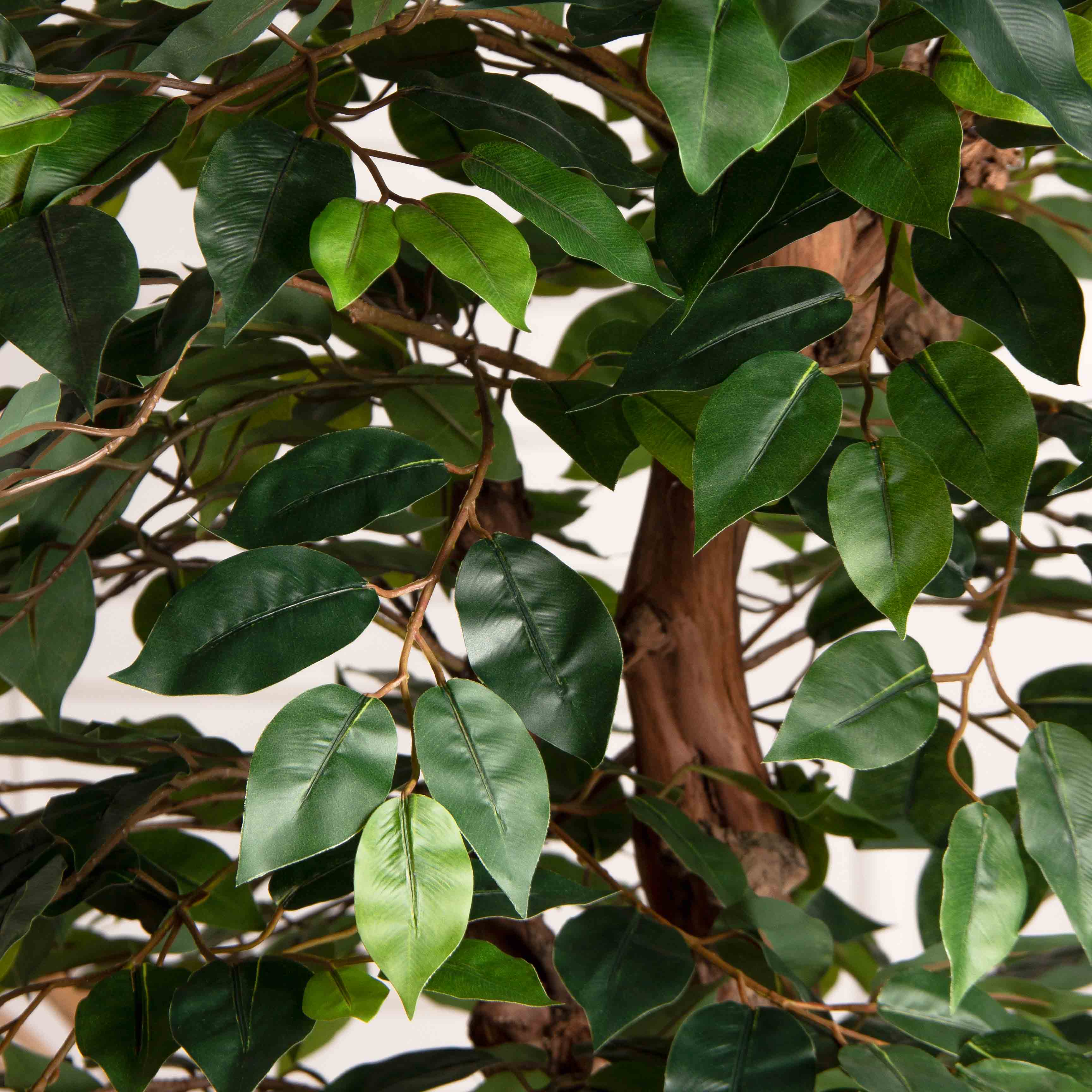 180/ОС/ССТ/34(F) Фикус искусственный h180см (латекс)_3