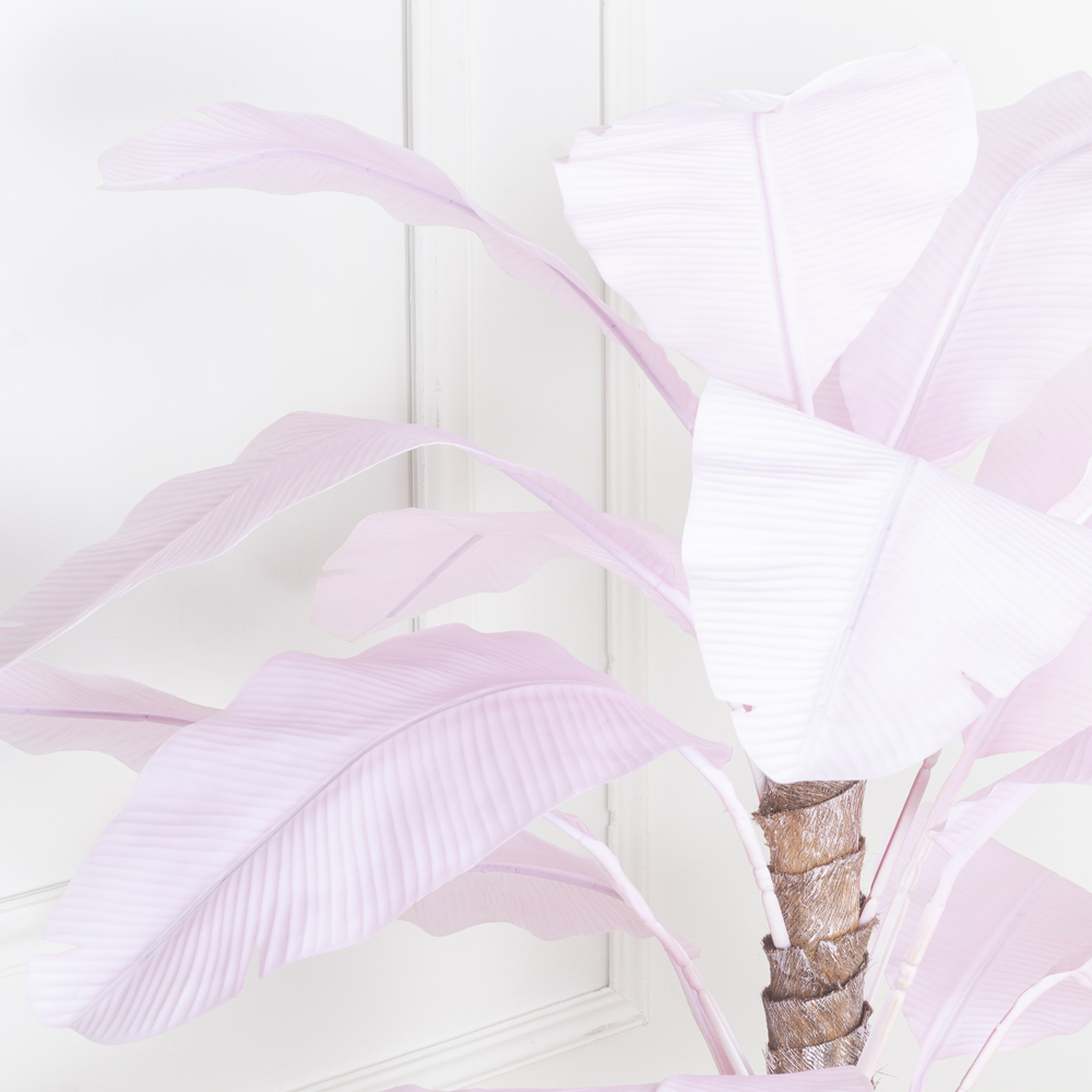 П120/356-2(з.) Банановая пальма розовая (силикон) h120см_9