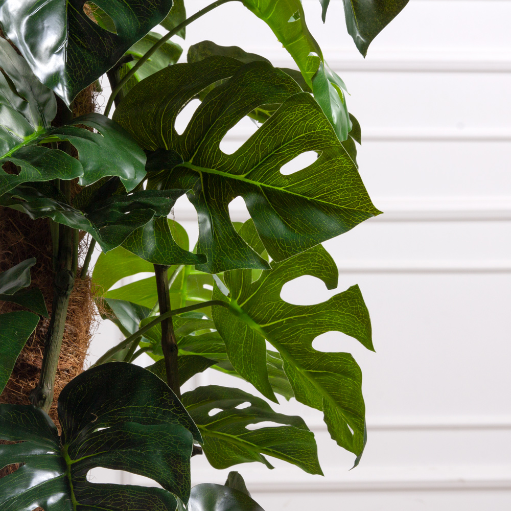 К150/215(F) Монстера искусственная h150см (латекс) в кашпо_2