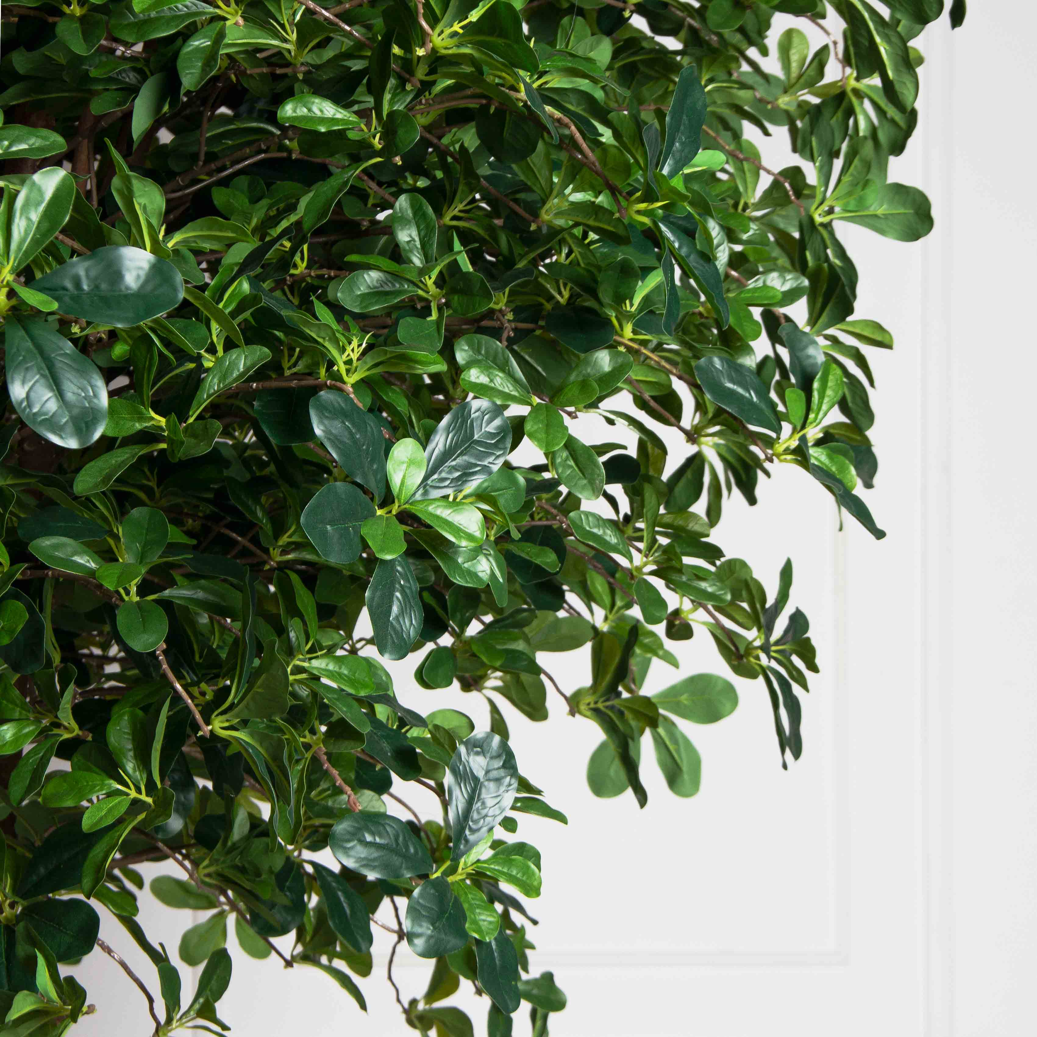 280/РН/84(УУ)(Пр)(F) Шеффлера искусственная h280см (латекс)_3