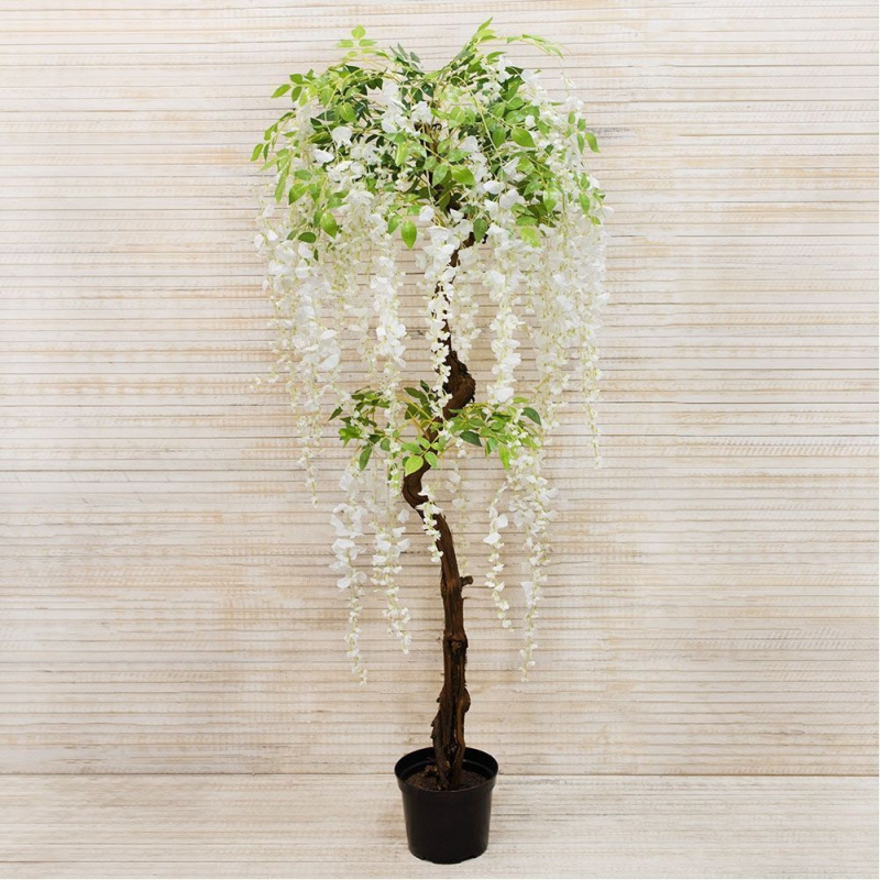 190/Я2/ОС/424-1 Глициния(вистерия) белая, h190см(латекс)