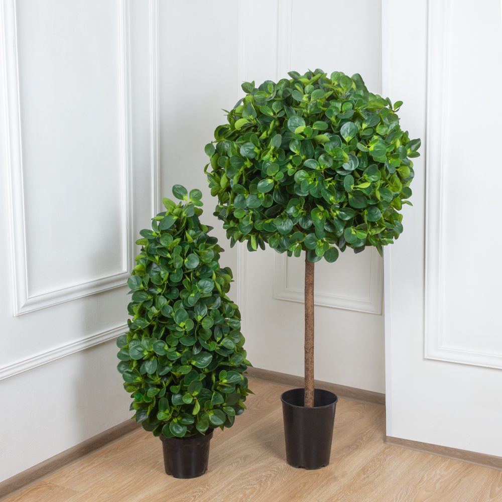 150/РН/473 Питтоспорум искусственный h150см_4