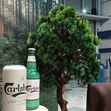 Оформление витрины Carlsberg